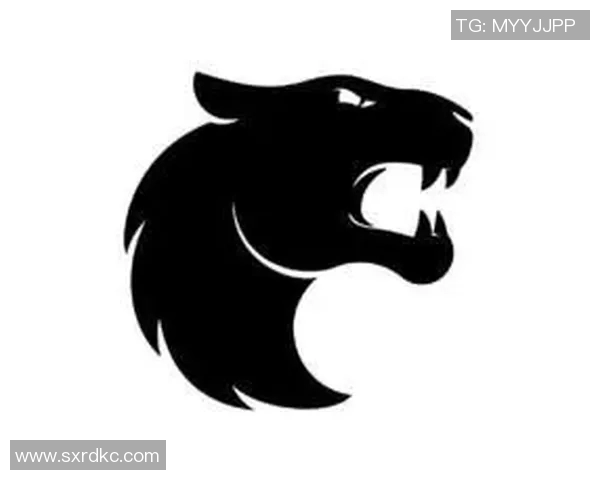 CSGO战术解析：深入探讨EDG战队的进攻策略与执行技巧