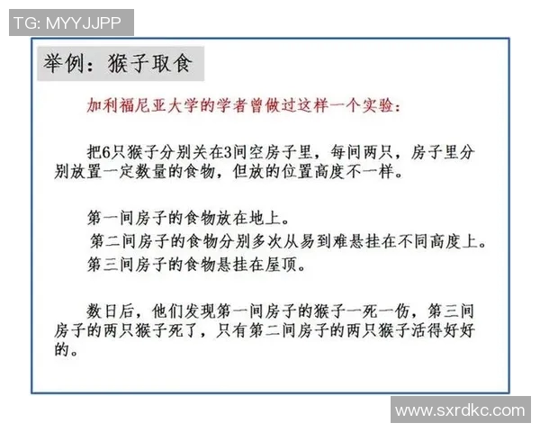 WE战队协作分析:如何在英雄联盟中提升团队配合与战术执行力 WE战队协作分析:如何在英雄联盟中提升团队配合与战术执行力