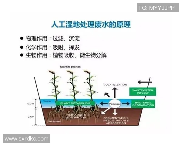 从零起步掌握极限运动心理素质的全面指南与实用技巧 从零起步掌握极限运动心理素质的全面指南与实用技巧