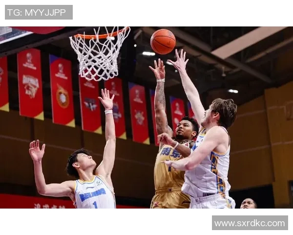 昆汀-皮特森：CBA赛场上的明日之星